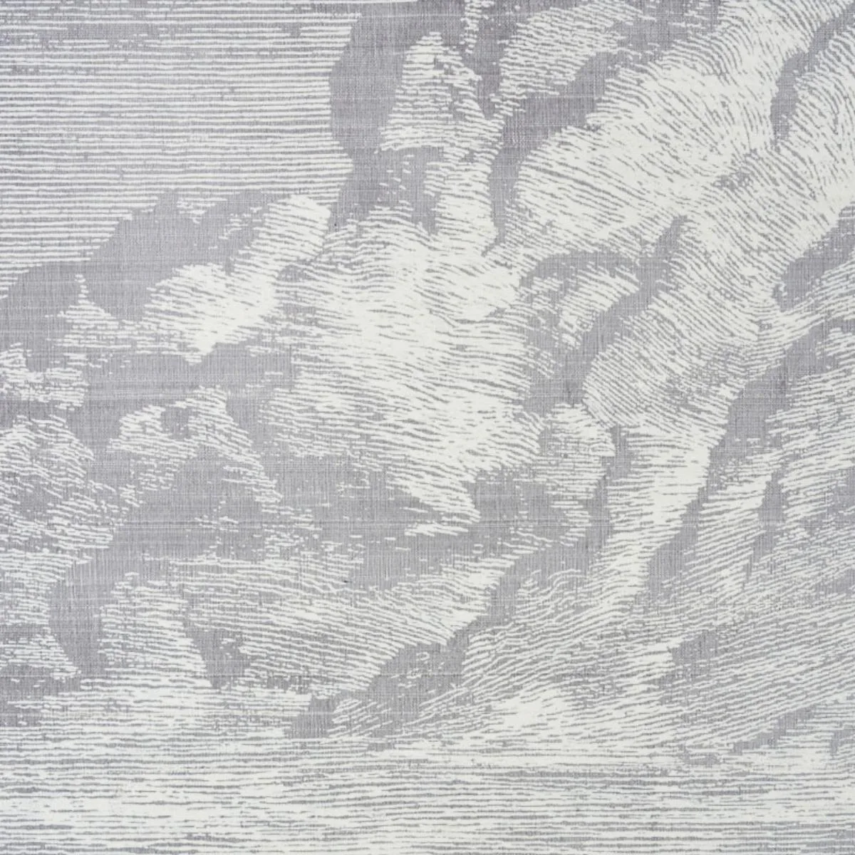 Schumacher 177002 Cloud Toile Fog fabric swatch