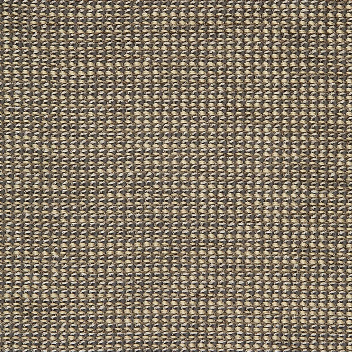 65672 Coco Weave Oxford Fabric