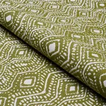 Schumacher 84242 Colma Indoor/Outdoor Verde fabric swatch