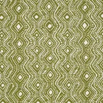 Schumacher 84242 Colma Indoor/Outdoor Verde fabric swatch