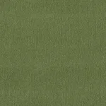 Schumacher 84140 Cooper Indoor/Outdoor Green fabric swatch