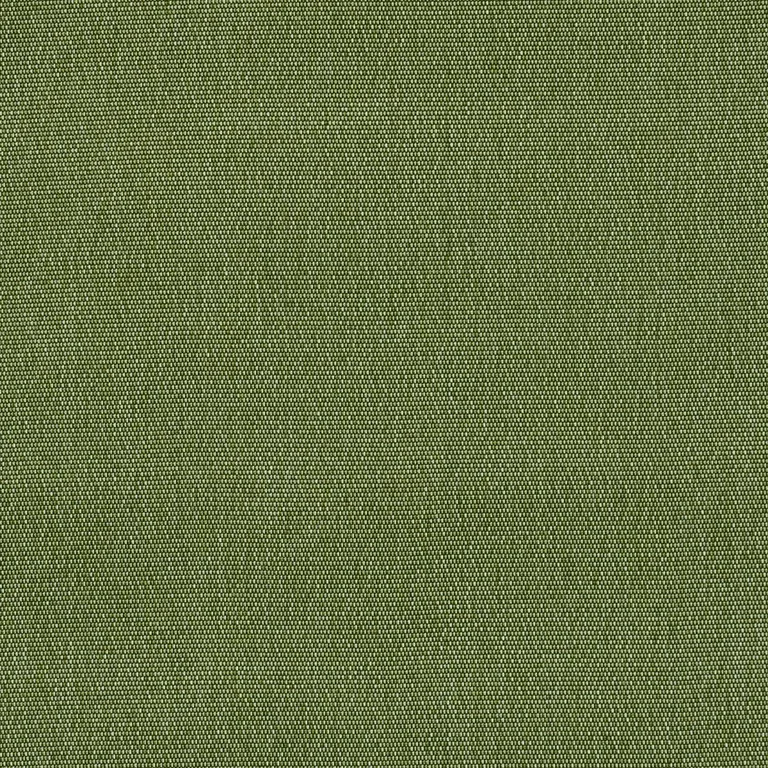 Schumacher 84140 Cooper Indoor/Outdoor Green fabric swatch
