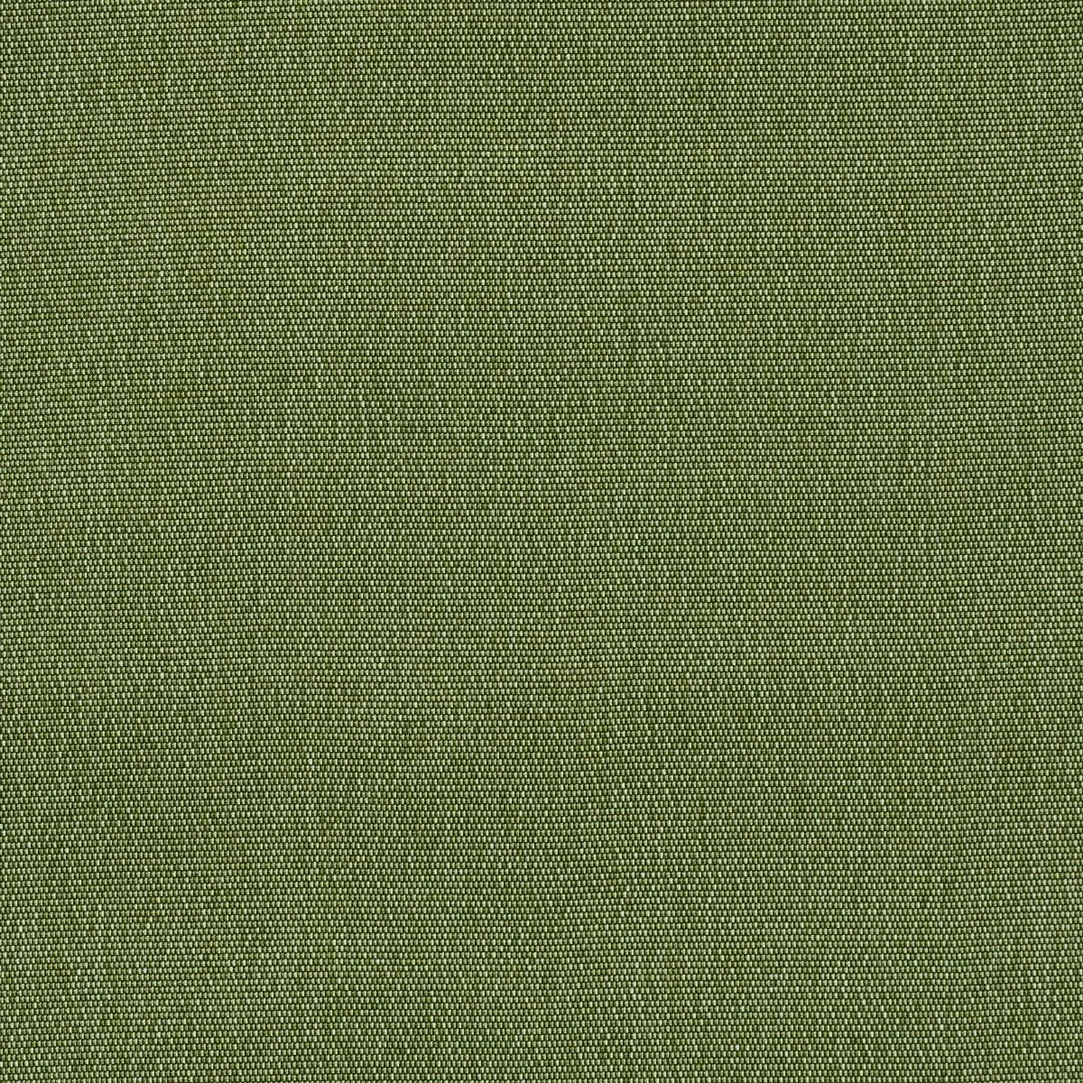 Schumacher 84140 Cooper Indoor/Outdoor Green fabric swatch