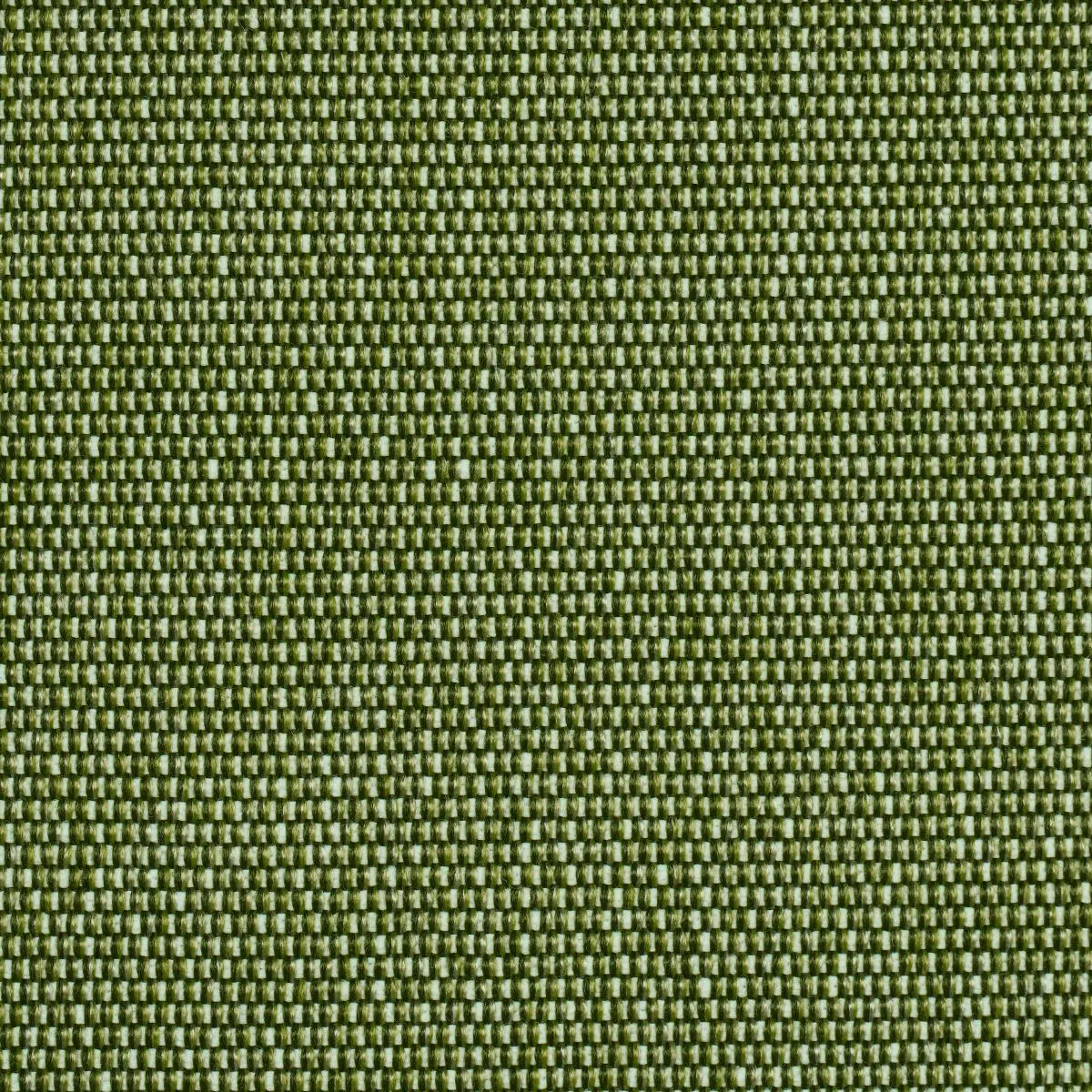 Schumacher 84140 Cooper Indoor/Outdoor Green fabric swatch