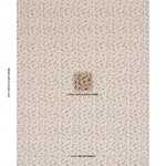 Schumacher 77134 Corail Velvet Champignon fabric swatch