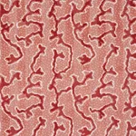 Schumacher 77133 Corail Velvet Coral fabric swatch