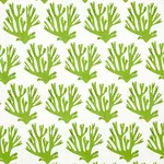 Schumacher 179101 Coral Green fabric swatch