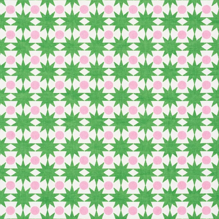 Schumacher 177061 Cosmos Watermelon fabric swatch