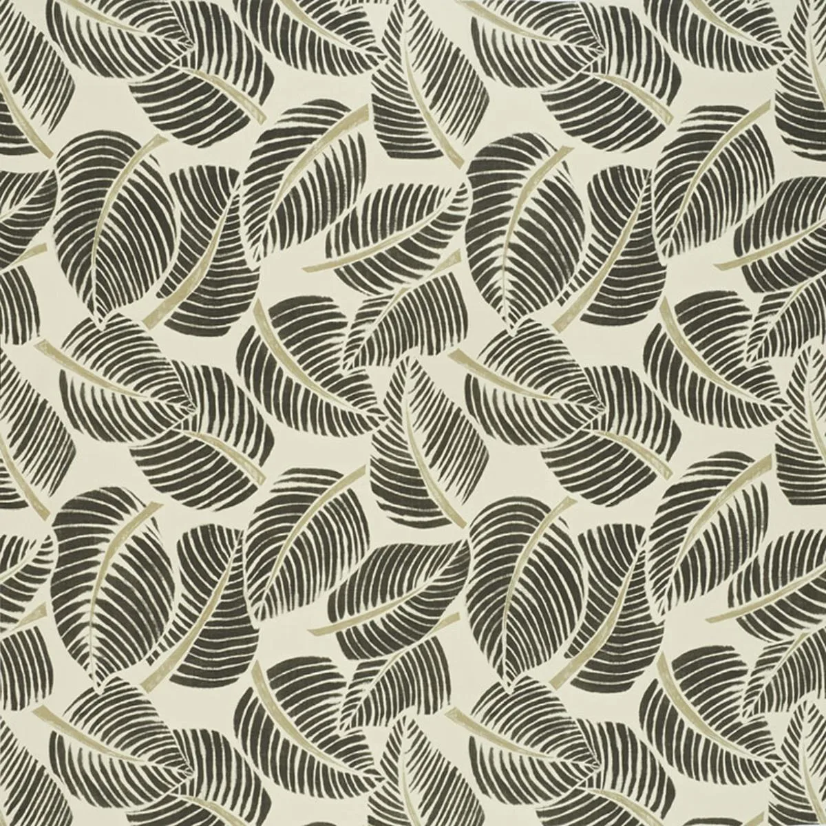 Schumacher 176193 Costa Rica Faded Black fabric swatch