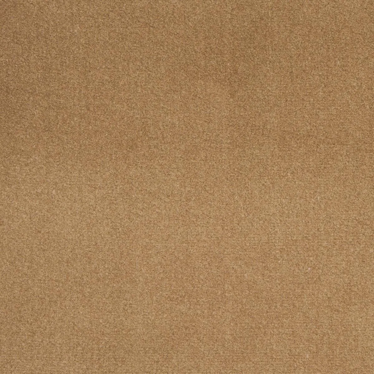 Schumacher 55282 Cotton Club Velvet Fawn fabric swatch