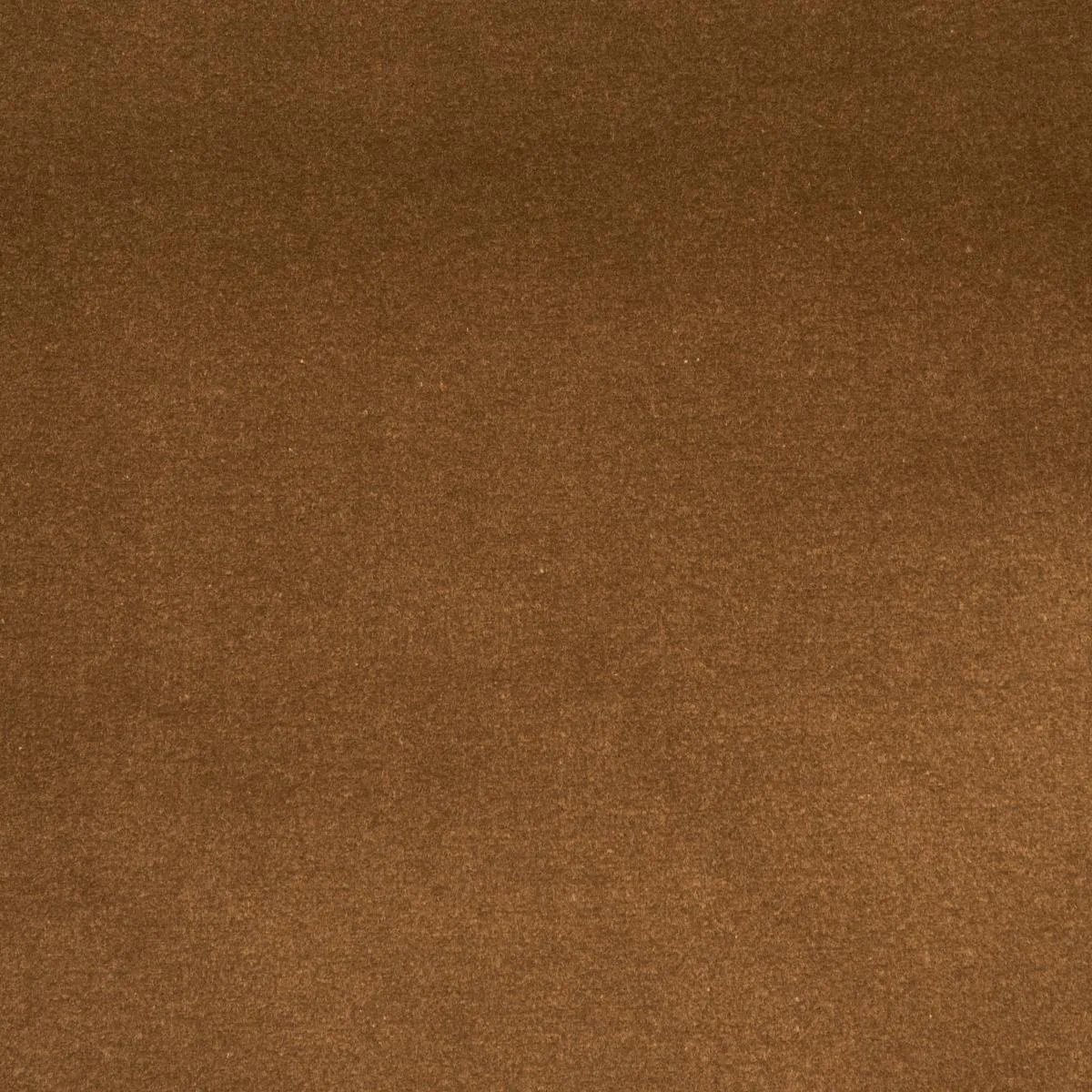 Schumacher 43422 Cotton Club Velvet Mushroom fabric swatch