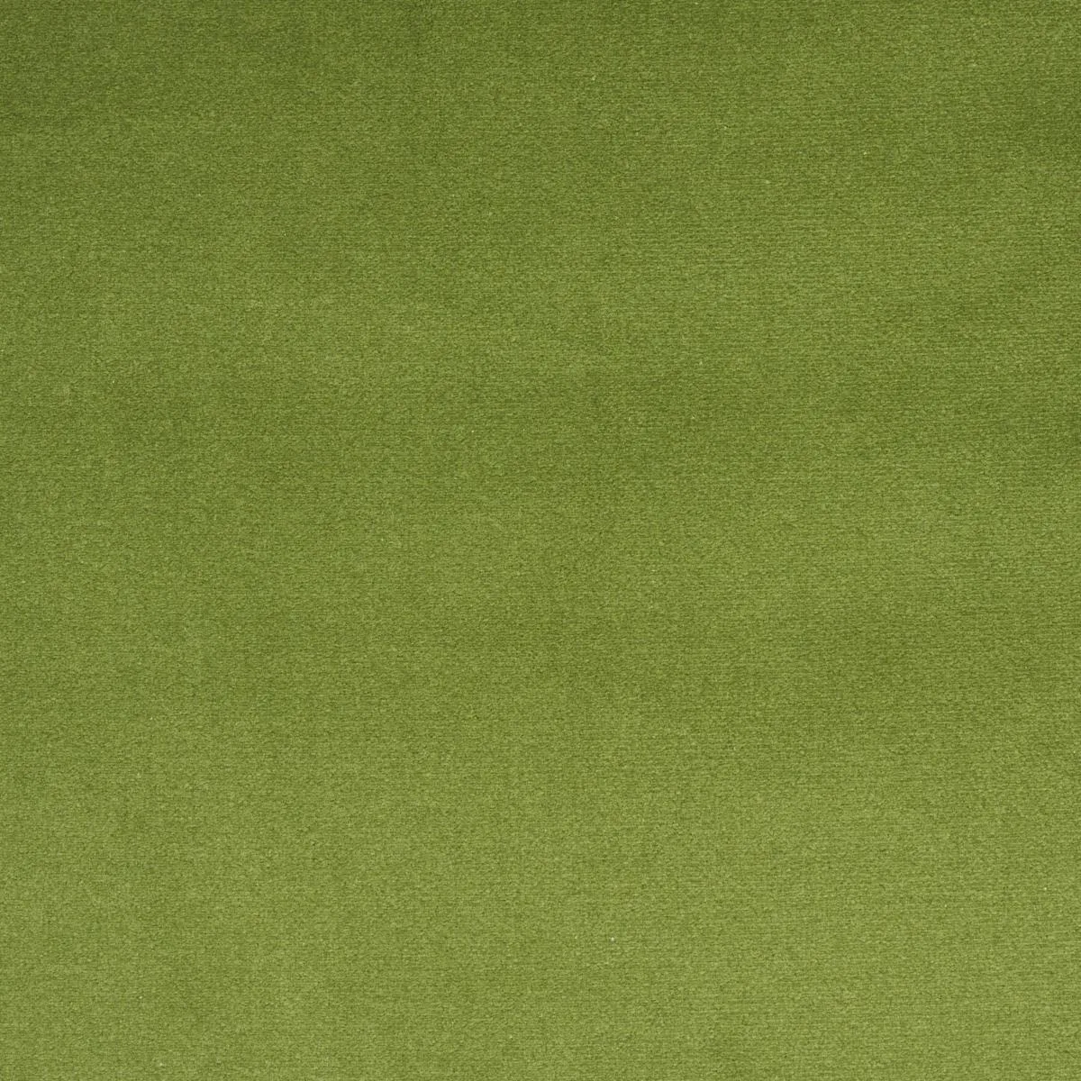 Schumacher 43424 Cotton Club Velvet Sage fabric swatch