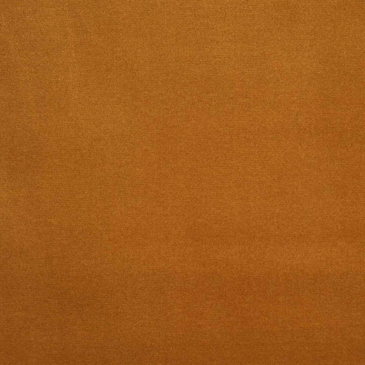 Schumacher 43420 Cotton Club Velvet Straw fabric swatch