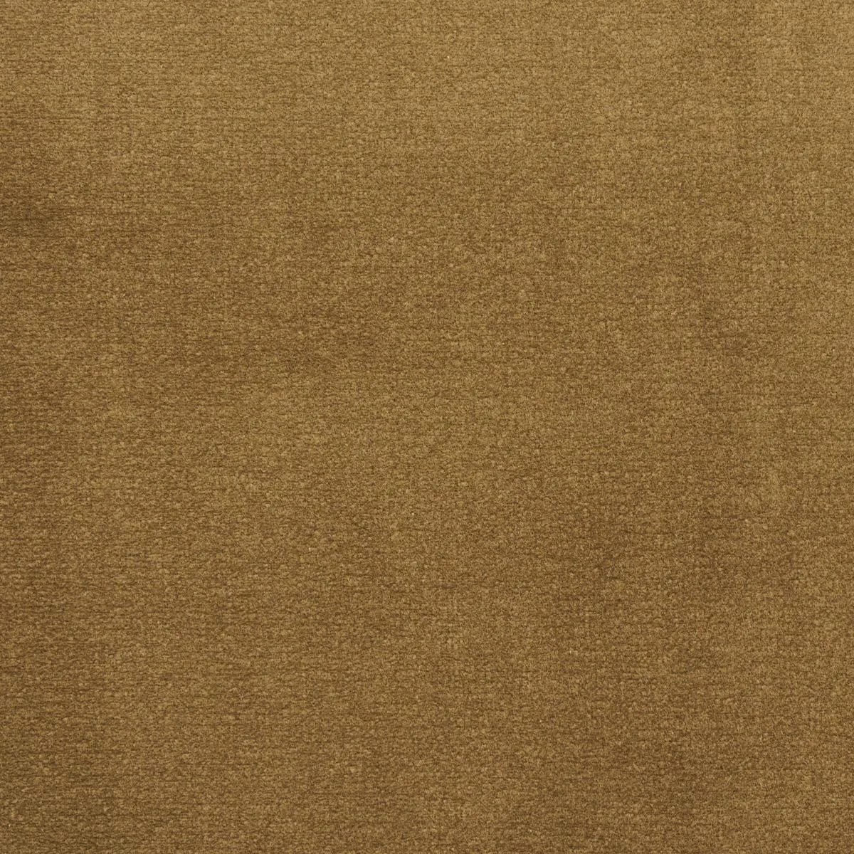 Schumacher 55283 Cotton Club Velvet Thyme fabric swatch