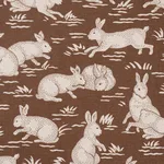 Schumacher 182241 Cottontails Chestnut fabric swatch