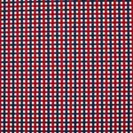 Schumacher 70395 Crosstown Red/Navy fabric swatch