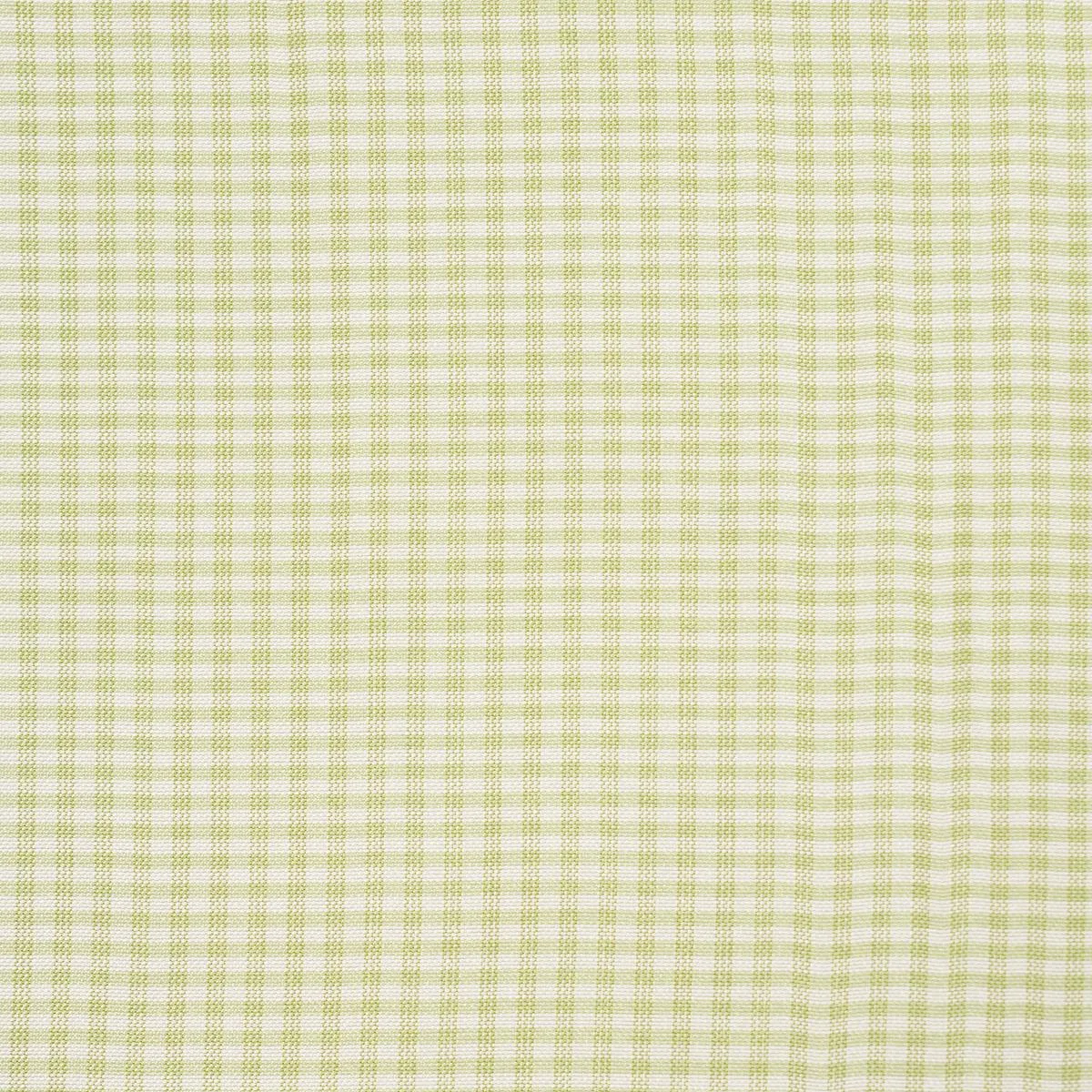 Schumacher 3449000 Dalton Silk Gingham Leaf fabric swatch