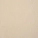 Schumacher 85524 Dean Indoor/Outdoor Ecru fabric swatch