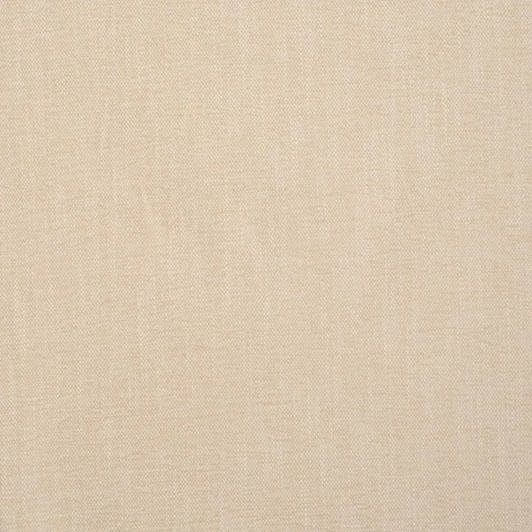 Schumacher 85524 Dean Indoor/Outdoor Ecru fabric swatch
