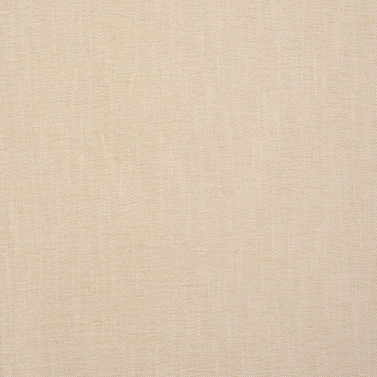 Schumacher 85524 Dean Indoor/Outdoor Ecru fabric swatch