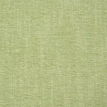 Schumacher 81129 Dean Indoor/Outdoor Grass fabric swatch