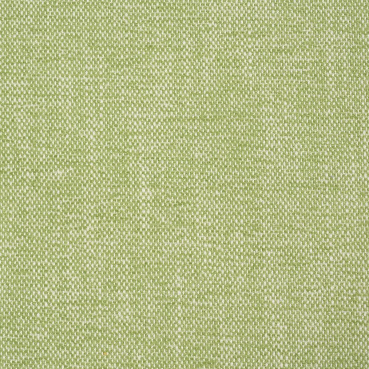 Schumacher 81129 Dean Indoor/Outdoor Grass fabric swatch