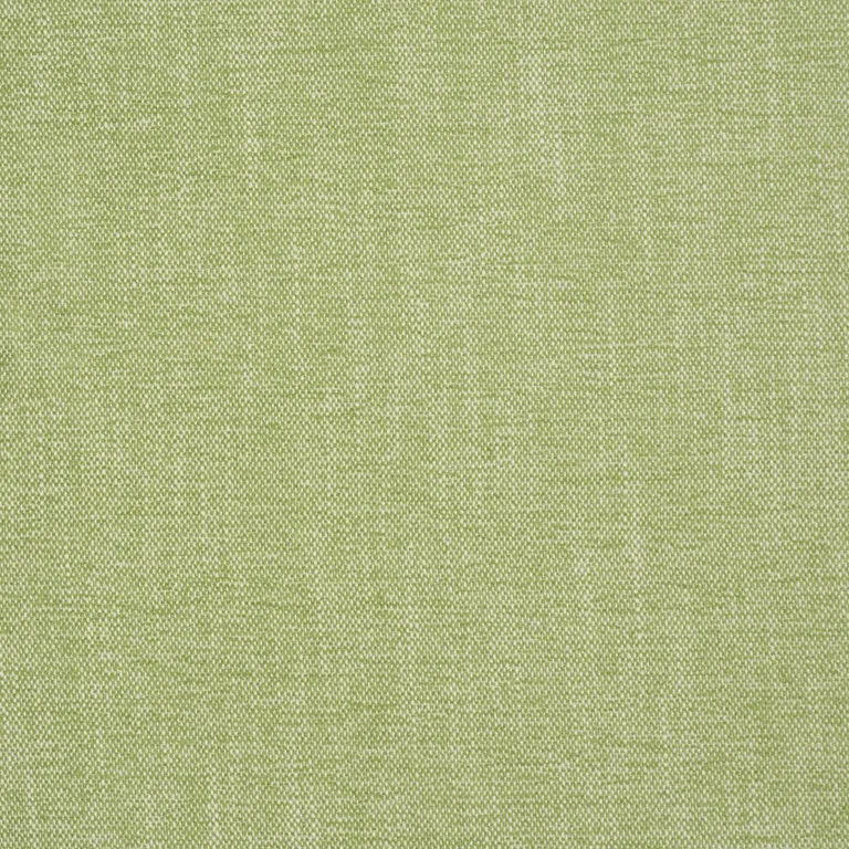 Schumacher 81129 Dean Indoor/Outdoor Grass fabric swatch