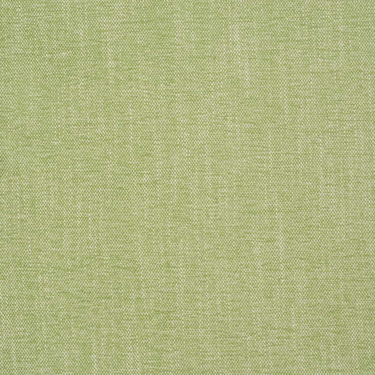 Schumacher 81129 Dean Indoor/Outdoor Grass fabric swatch