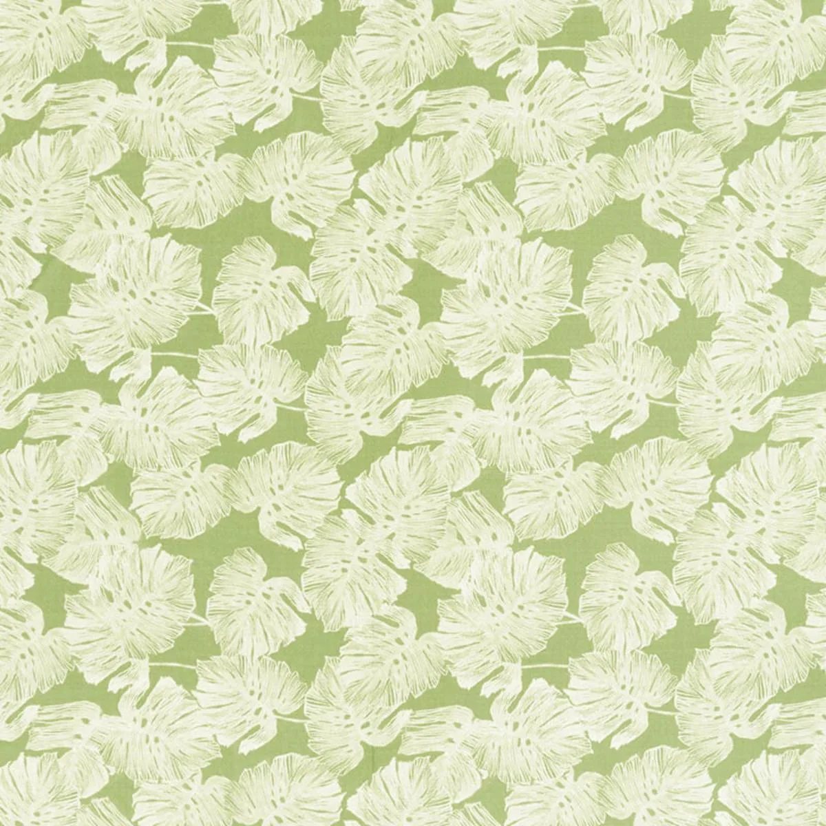 Schumacher 178342 Del Coco Sheer Leaf fabric swatch