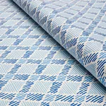 Schumacher 180230 Dexter Indoor/Outdoor Blues fabric swatch