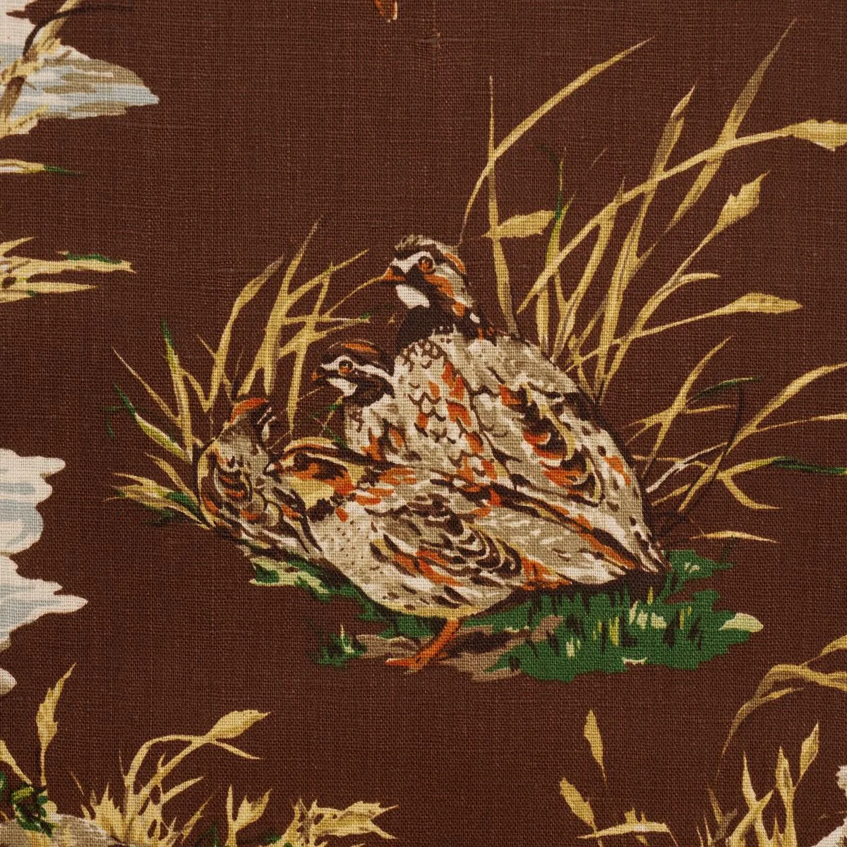 Schumacher 182661 Dog & Duck Brown fabric swatch