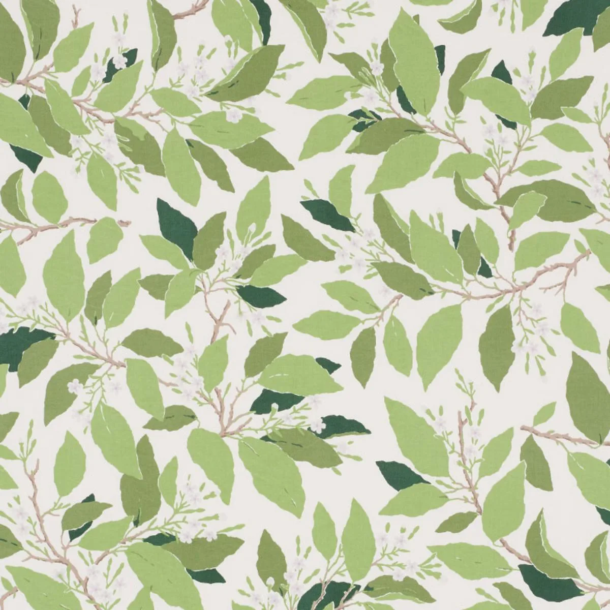Schumacher 176520 Dogwood Leaf Ivory fabric swatch