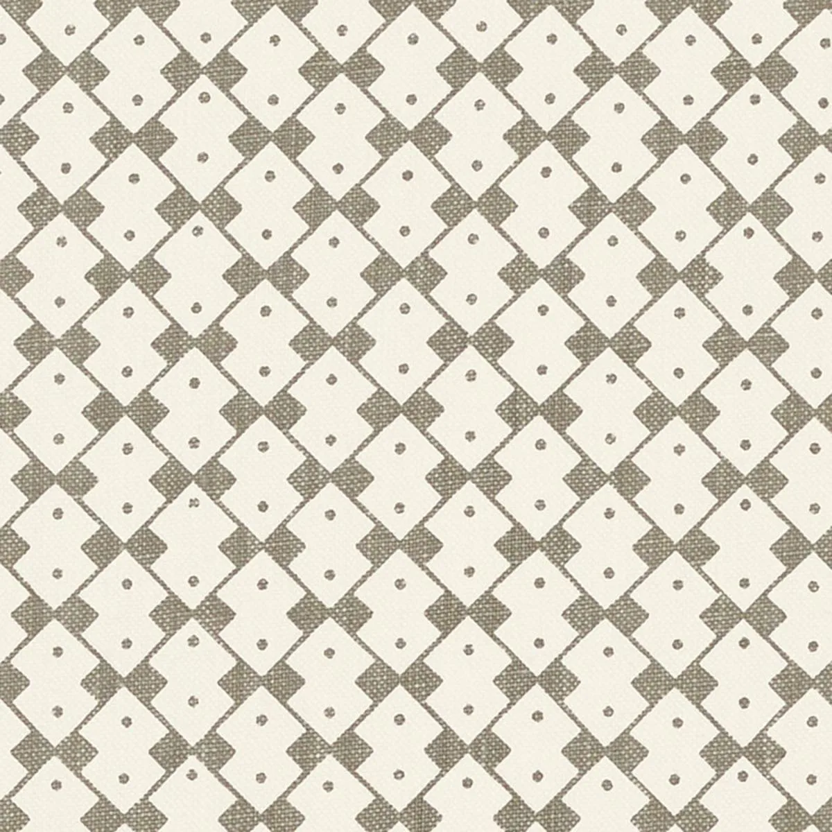 Schumacher 176291 Domino Muse fabric swatch