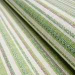Schumacher 81050 Dylan Indoor/Outdoor Green fabric swatch
