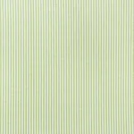 Schumacher 73151 Easton Stripe Indoor/Outdoor Leaf fabric swatch