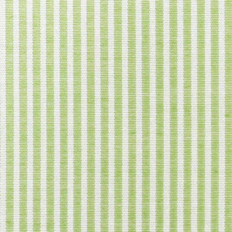 Schumacher 73151 Easton Stripe Indoor/Outdoor Leaf fabric swatch