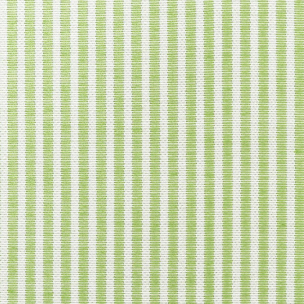 Schumacher 73151 Easton Stripe Indoor/Outdoor Leaf fabric swatch
