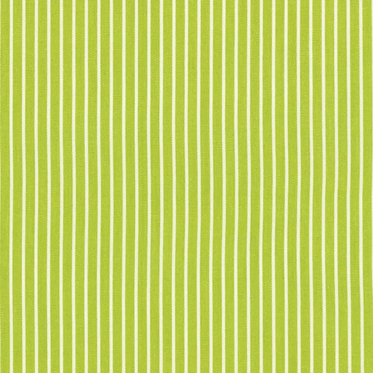 Schumacher 71306 Edie Stripe Green fabric swatch