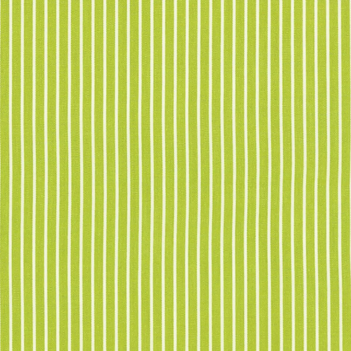 Schumacher 71306 Edie Stripe Green fabric swatch