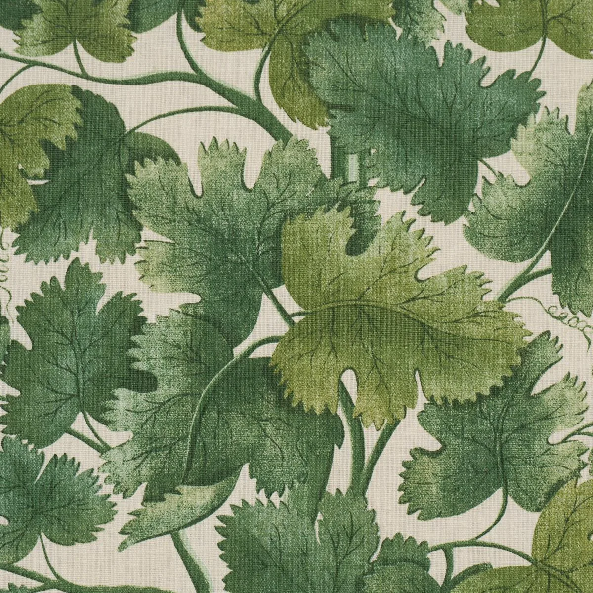Schumacher 182791 Edinburgh Vine Forest fabric swatch