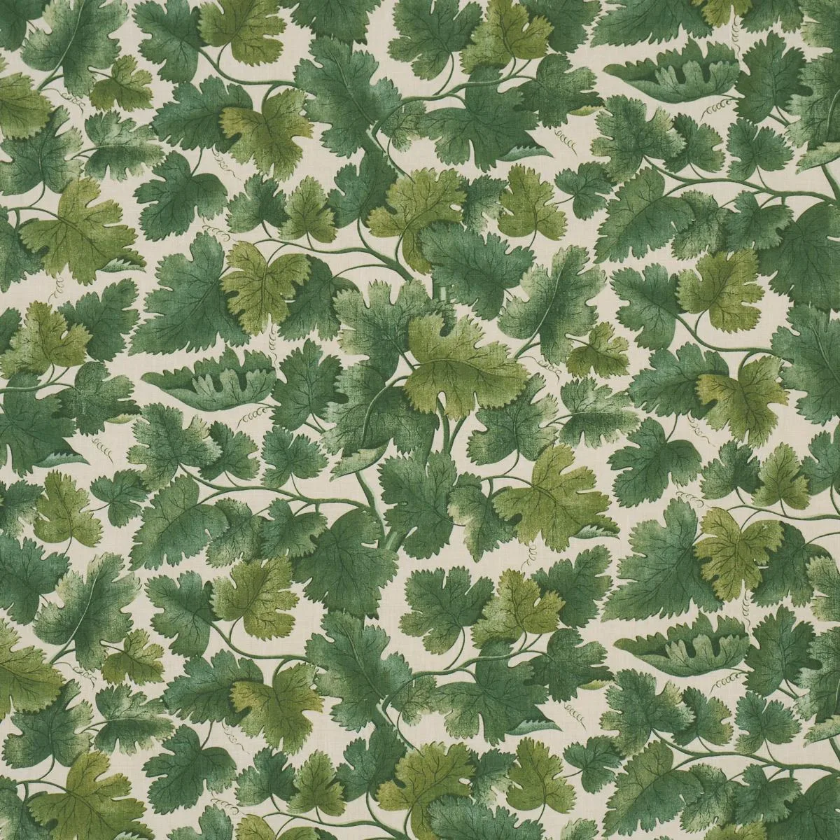 Schumacher 182791 Edinburgh Vine Forest fabric swatch