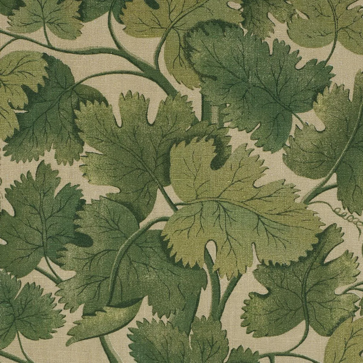 Schumacher 182790 Edinburgh Vine Moss fabric swatch