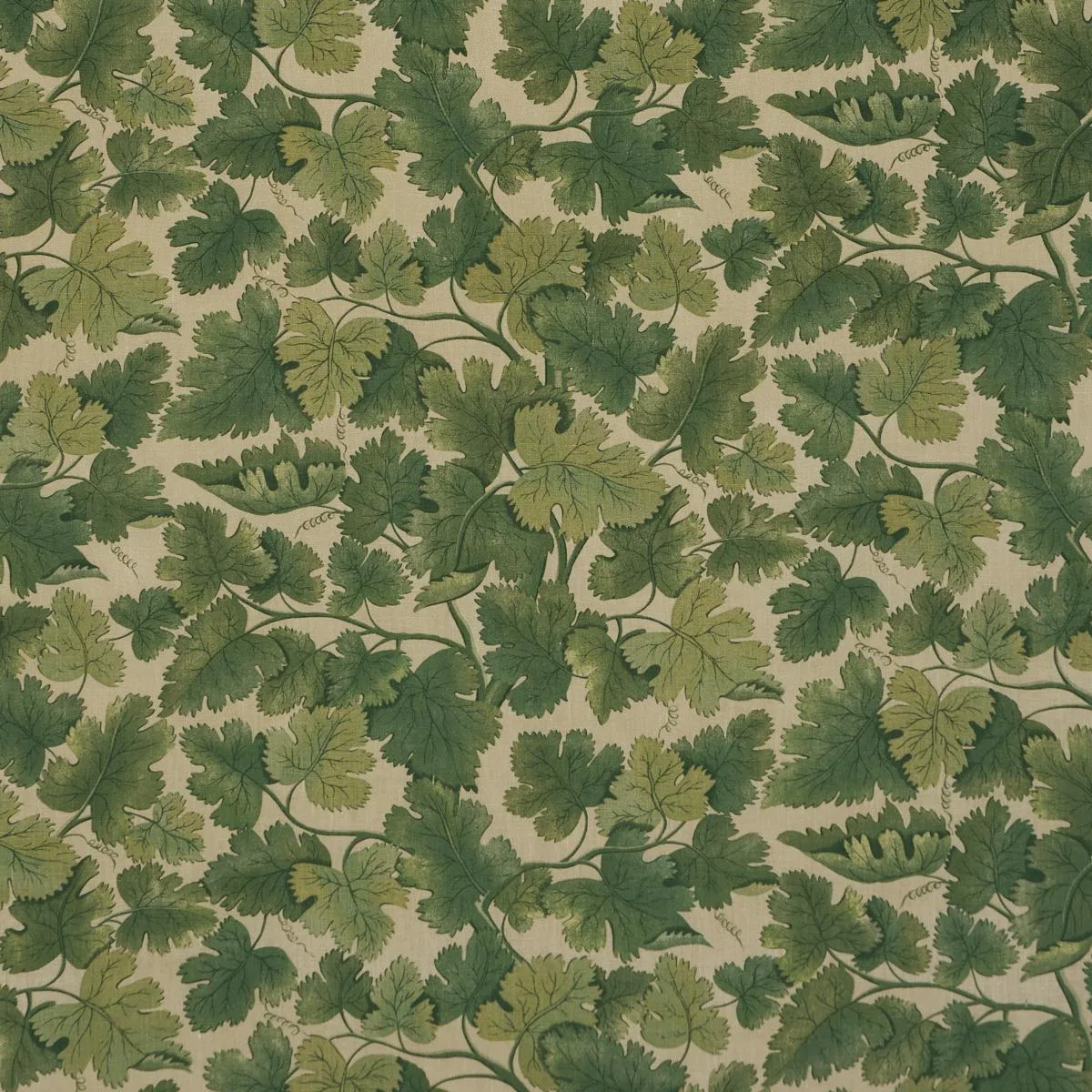 Schumacher 182790 Edinburgh Vine Moss fabric swatch