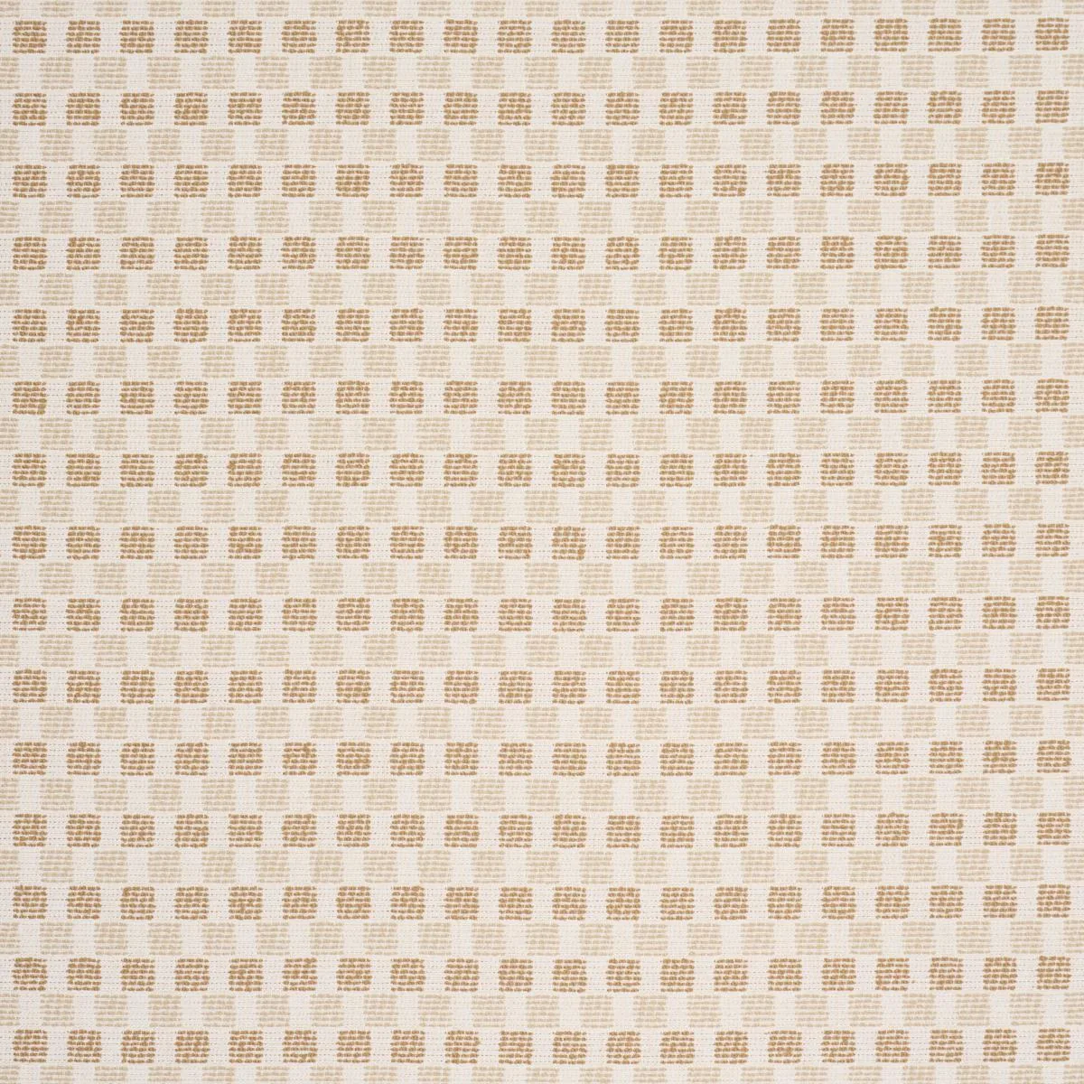 Schumacher 87670 Elara Performance Straw fabric swatch