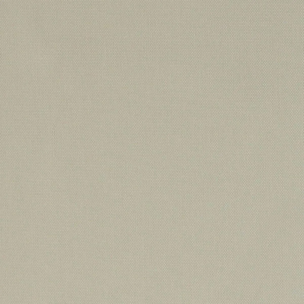 Schumacher 69504 Elliott Brushed Cotton Buff fabric swatch