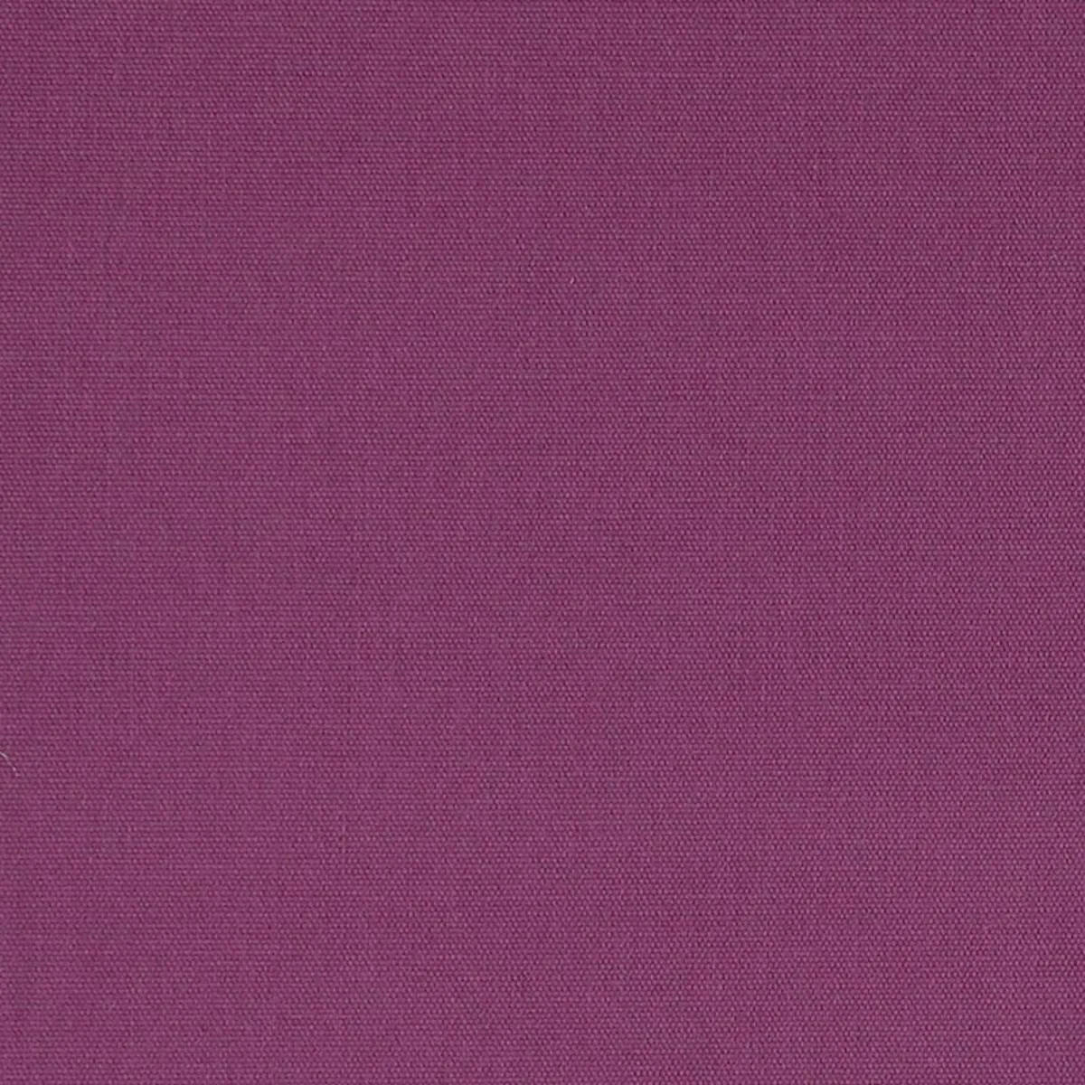 Schumacher 69525 Elliott Brushed Cotton Concord fabric swatch