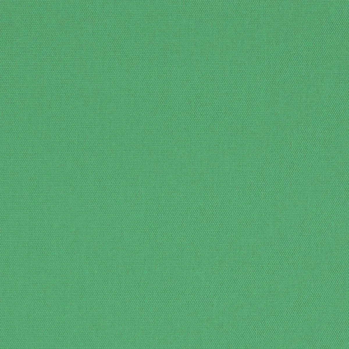 Schumacher 69543 Elliott Brushed Cotton Leaf fabric swatch