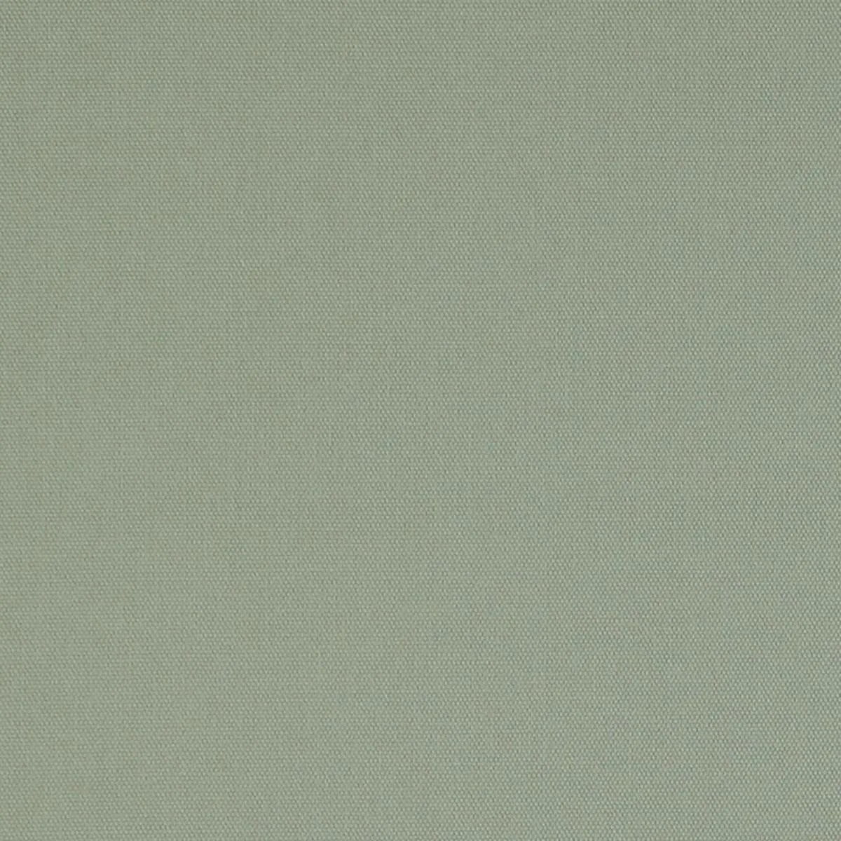 Schumacher 69502 Elliott Brushed Cotton Pebble fabric swatch