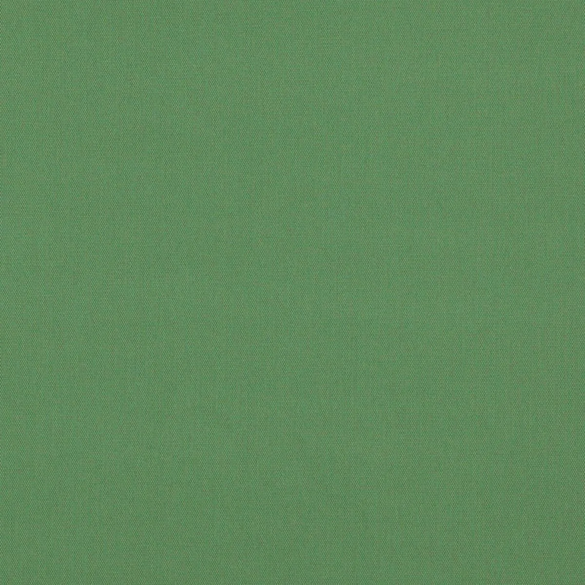 Schumacher 69542 Elliott Brushed Cotton Pesto fabric swatch