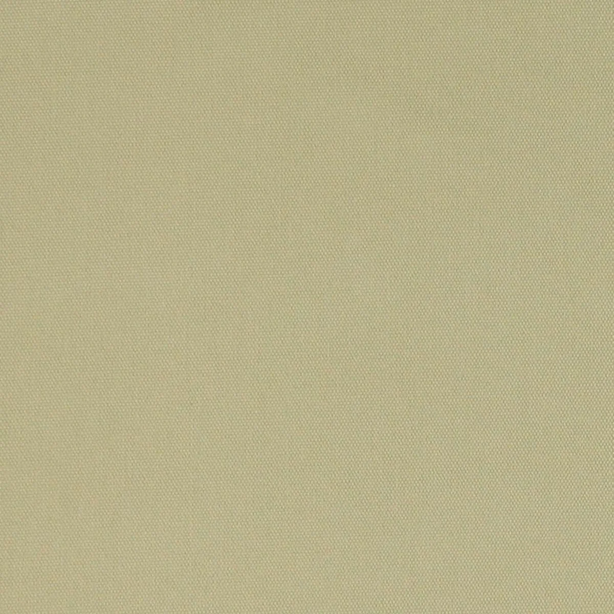 Schumacher 69499 Elliott Brushed Cotton Straw fabric swatch